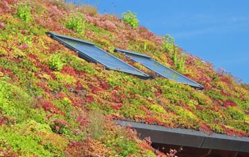 Road Weedon living roof systems