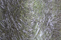 Road Weedon fibreglass roof work